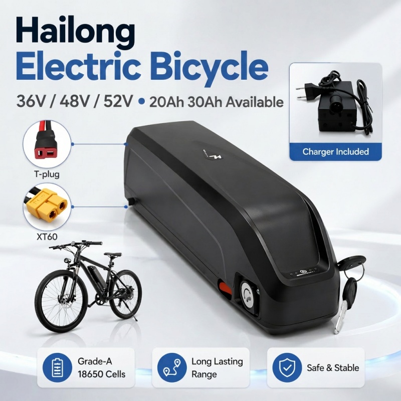 Batterie Hailong polyvalente,  - Ebike Battery 48V 20Ah Hailong avis et prix